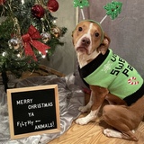 Entry image for Finnegan