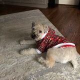 Entry image for Abby