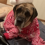 Entry image for corey