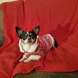 Entry image for Puzzle