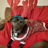 Entry image for Athena