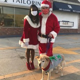 Entry image for Ripley