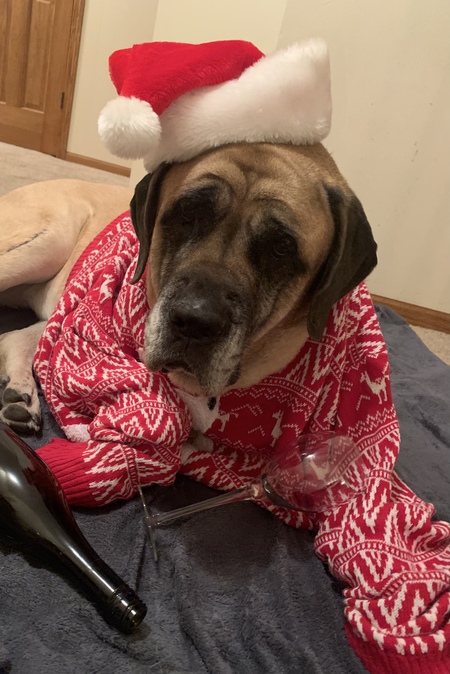 Entry image for corey. Clicking this image will show a larger photo