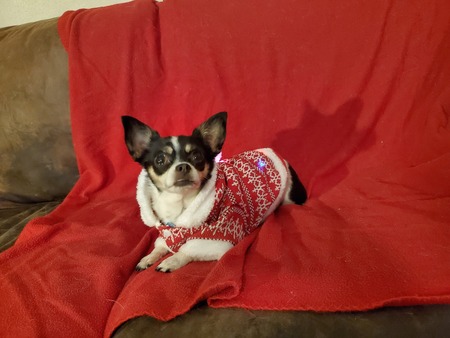 Entry image for Puzzle. Clicking this image will show a larger photo