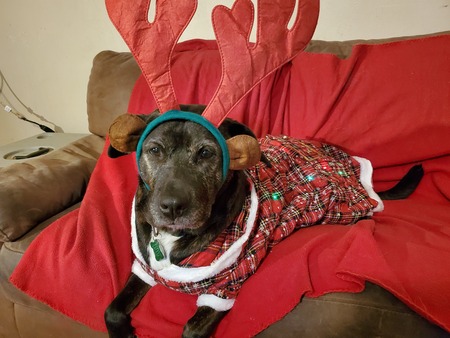 Entry image for Athena. Clicking this image will show a larger photo