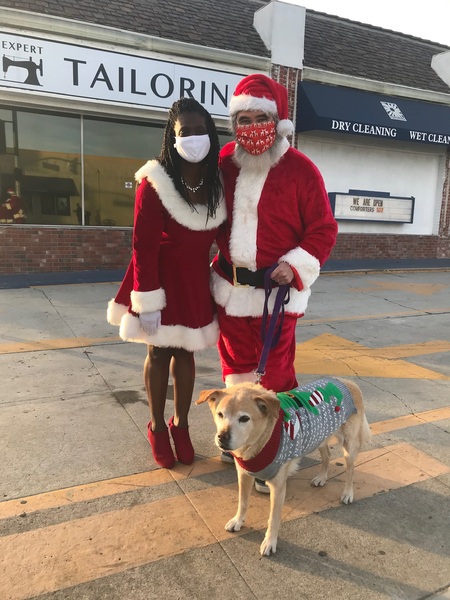 Entry image for Ripley. Clicking this image will show a larger photo