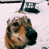 Entry image for Ford