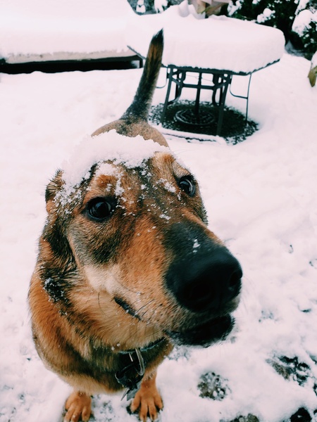 Entry image for Ford. Clicking this image will show a larger photo