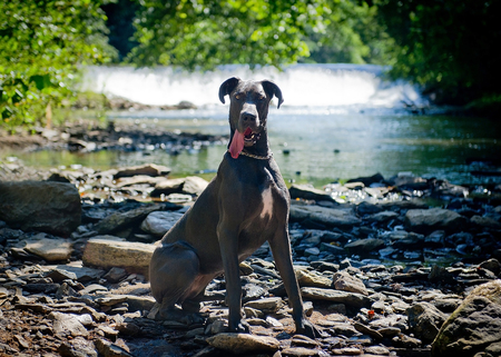 Georgia