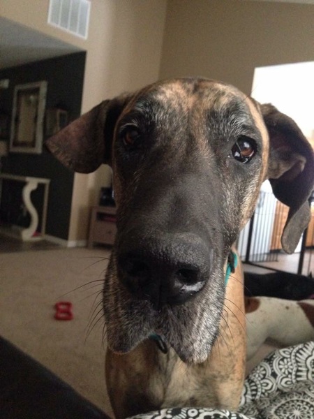 Sophie