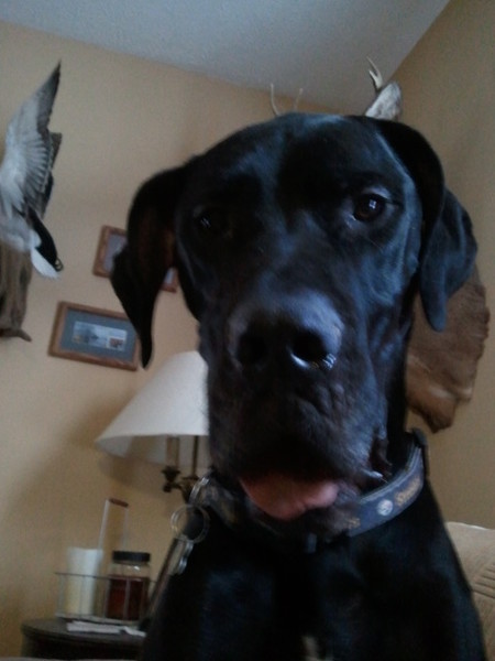 Jack