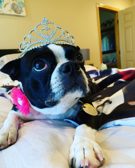 Princess