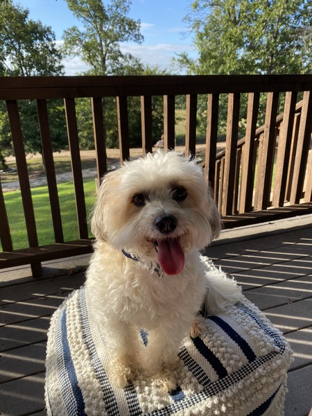 Charlie