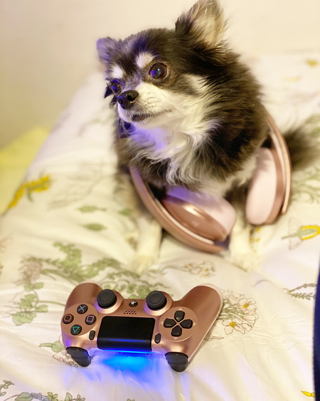 Zoey