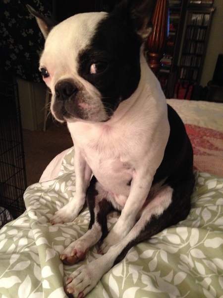 Quincy