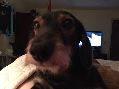 Wally