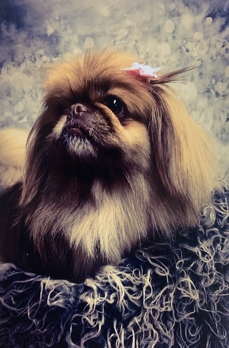 Zoey