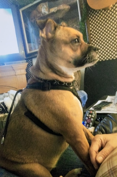 Deixie