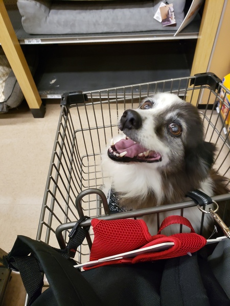 Oscar