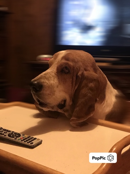 Roscoe 