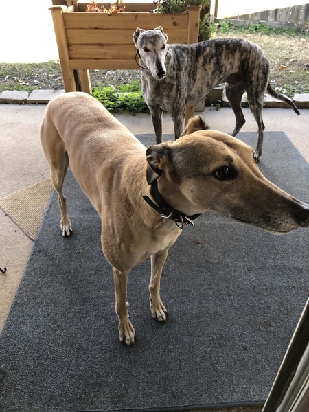 Lucy and Charlie