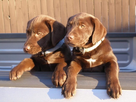 Sam and Maggie 