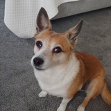 Entry image for Penny