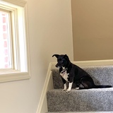 Entry image for Lilly