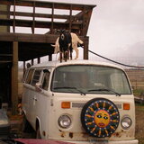 Entry image for Tinker and Betsy