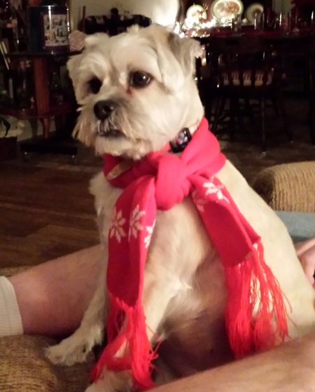 Entry image for Heidi. Clicking this image will show a larger photo