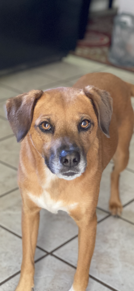 Entry image for Kira. Clicking this image will show a larger photo