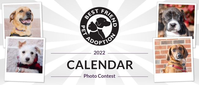Best Friend Pet Adoption Best Friend Pet Adoption Calendar Contest