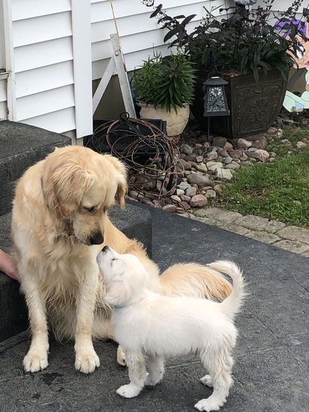 Ruby and Lana