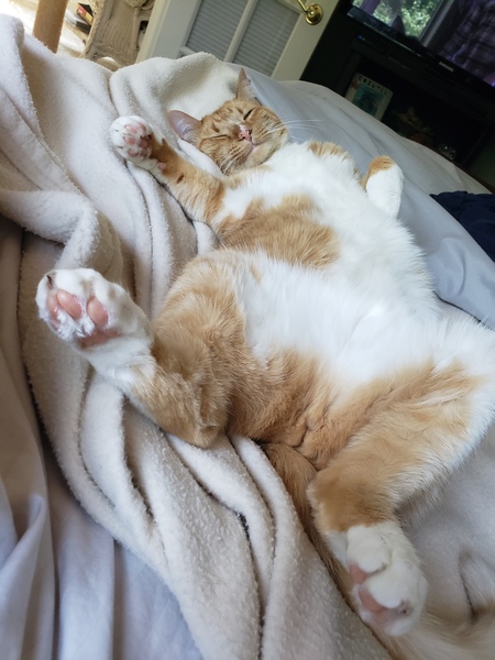 George