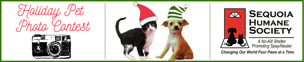 Sequoia best sale animal shelter