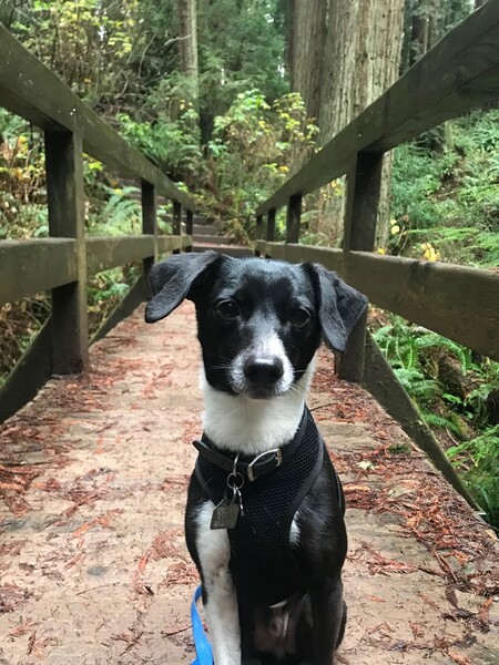 Charlie