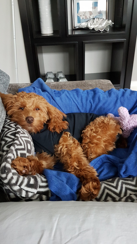Ellie