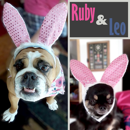 Ruby & Leo