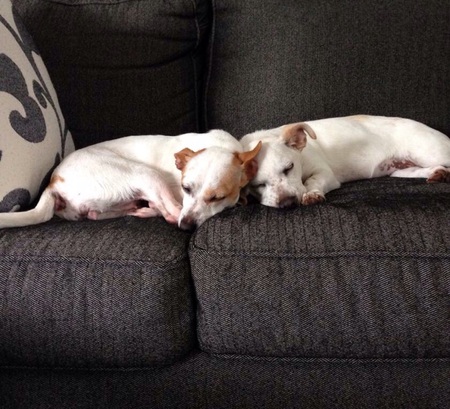 Gracie and Beatrice 