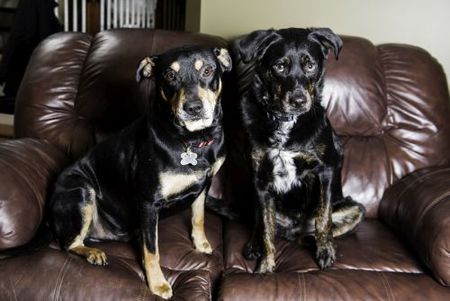 Lazarus and Tucker