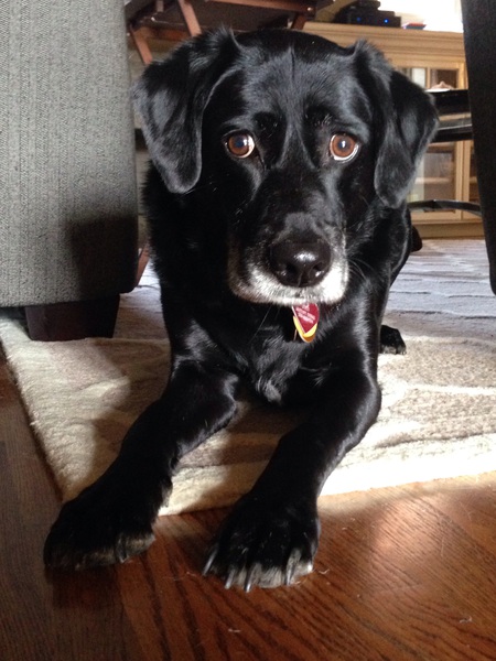 Lulu