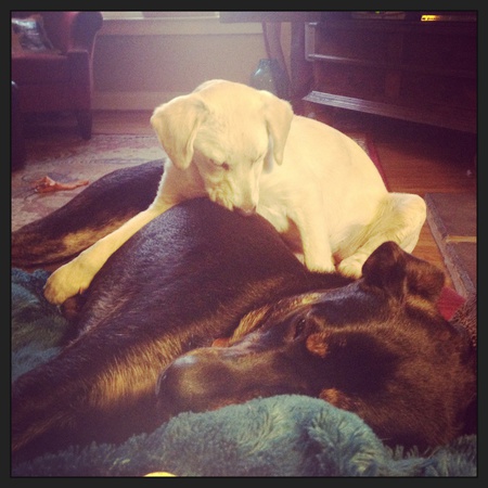 Rico and L'bit
