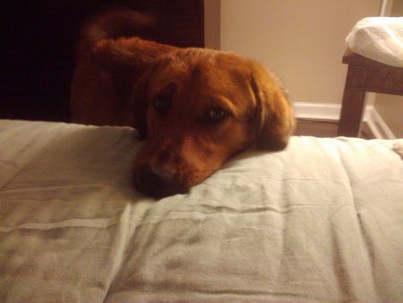 Charlie