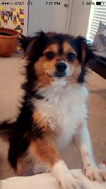 Sam