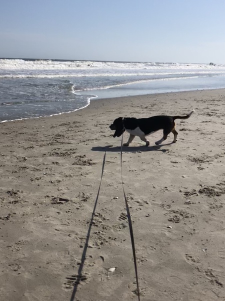Buster is beachin