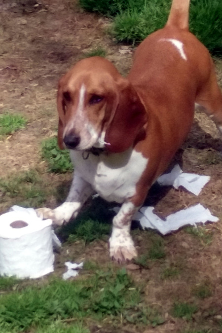 Eleanor "Don't Mess with My Toilet Paper"