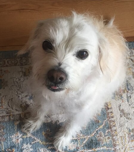 Rudy