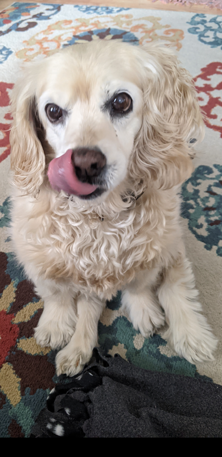 Penny