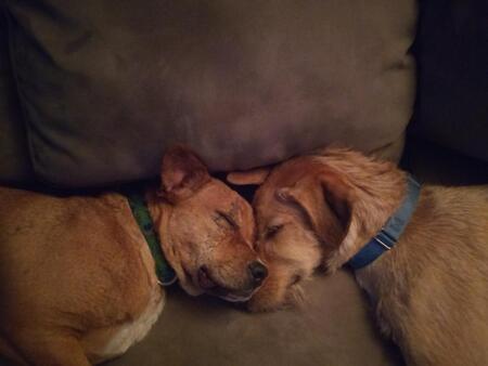 Max & Lizzie