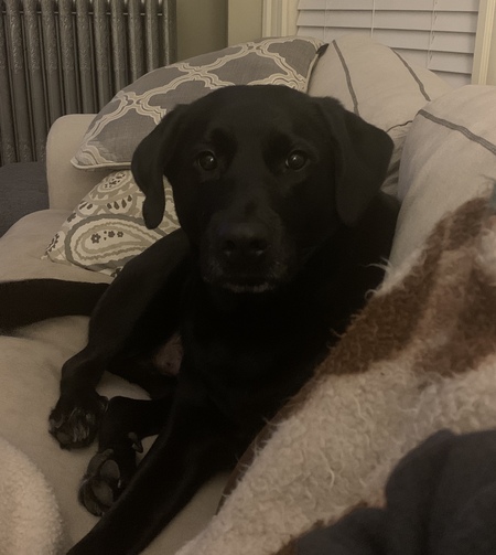 Ranger